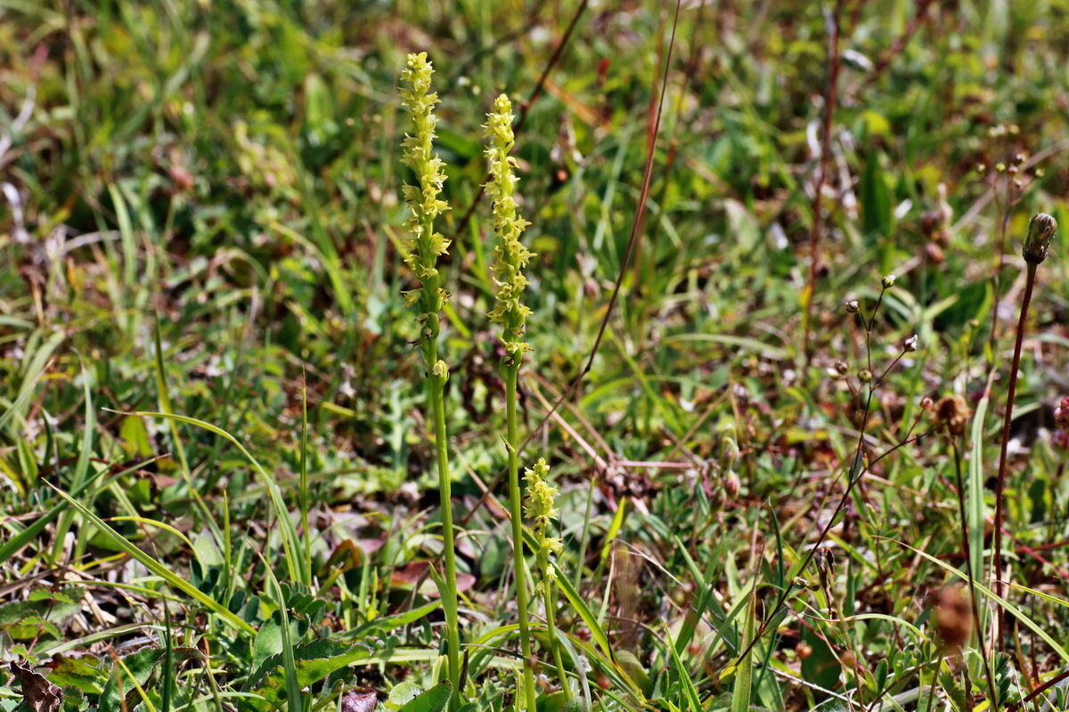 IMG-2015-06-29-00006174p_Bildgr��e �ndern