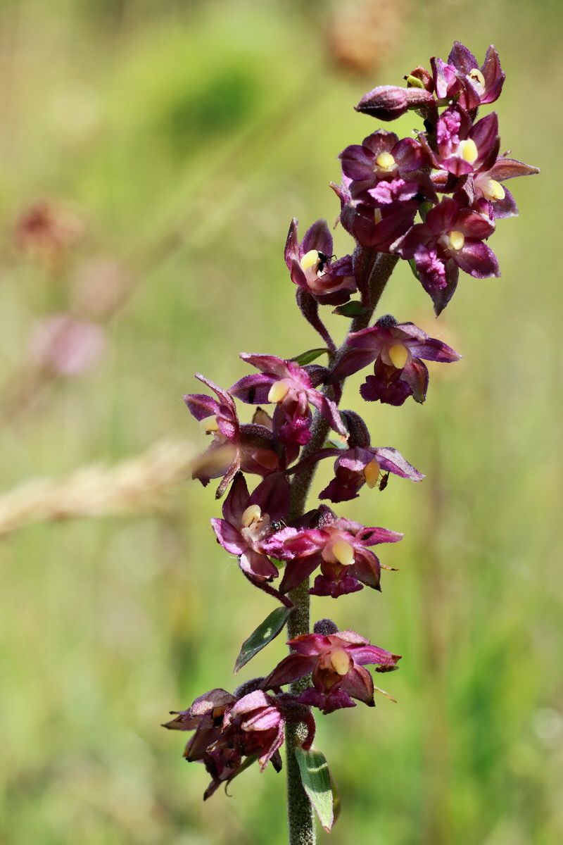 IMG-2015-06-29-00006181p_Bildgr��e �ndern