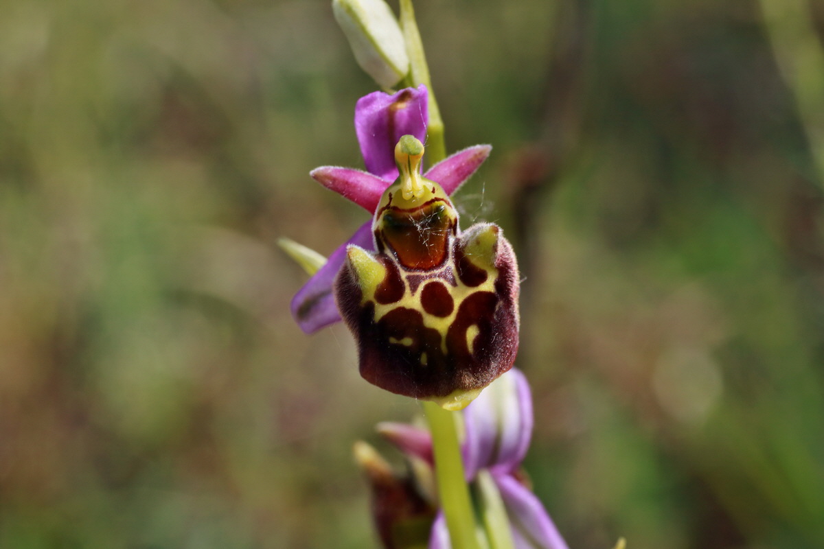 IMG-2015-06-29-00006186p_Bildgr��e �ndern