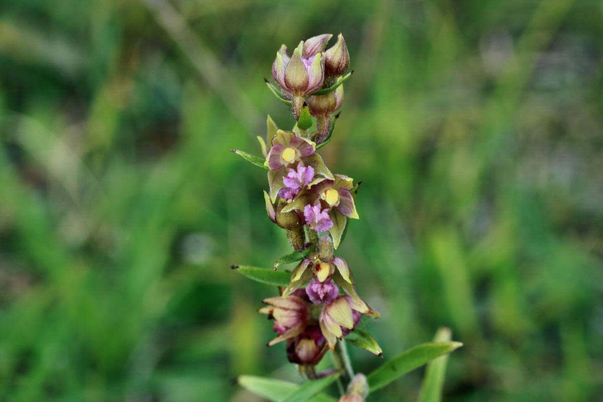 IMG-2015-06-29-00006190p_Bildgr��e �ndern