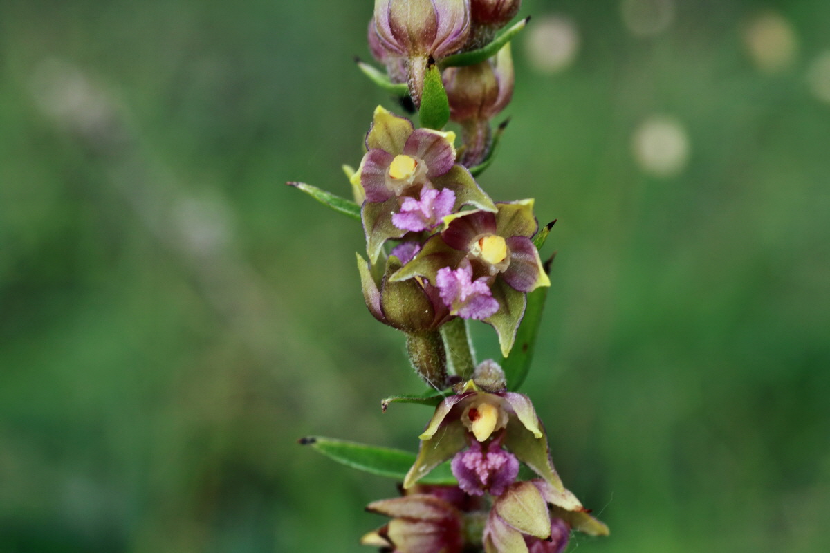 IMG-2015-06-29-00006192p_Bildgr��e �ndern