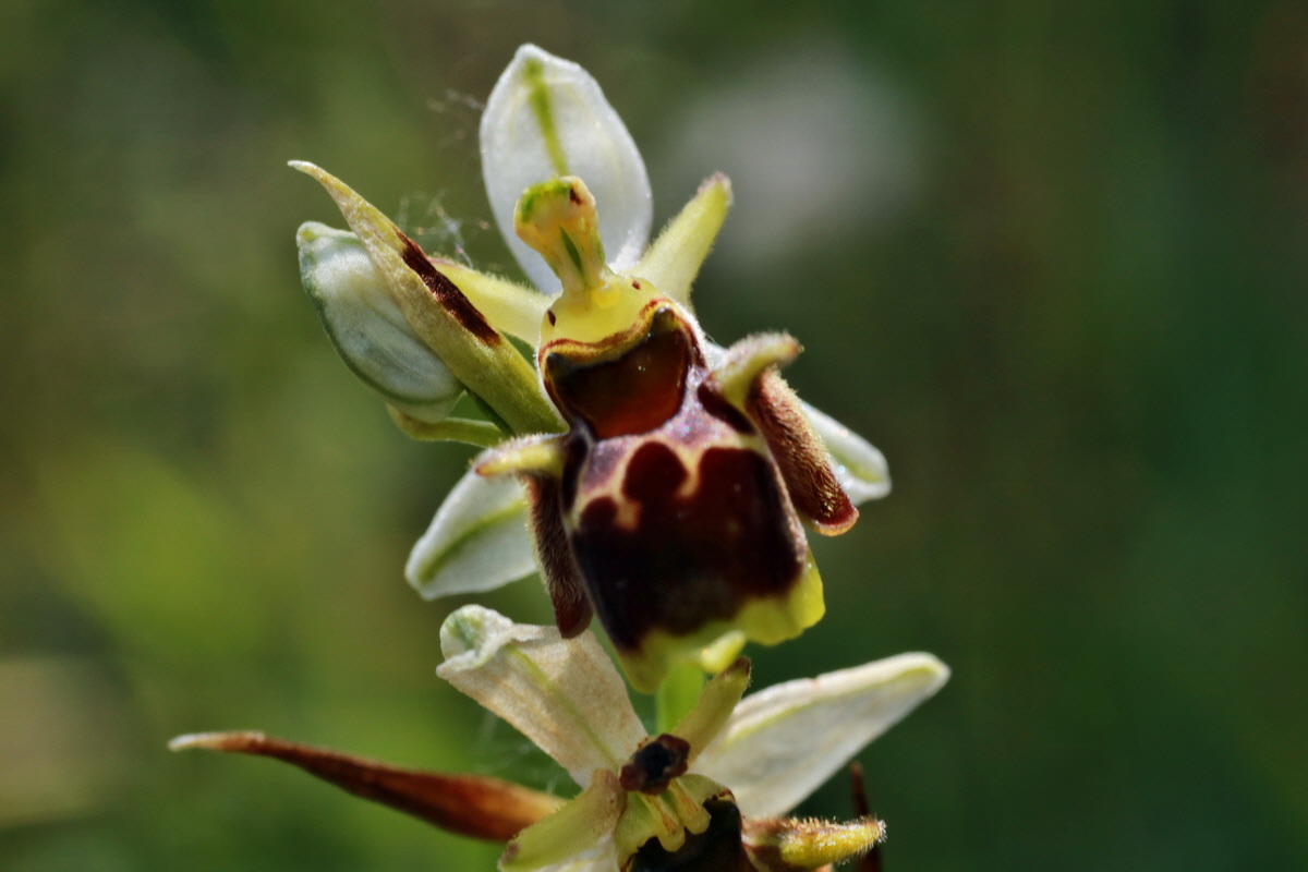 IMG-2015-06-29-00006199p_Bildgr��e �ndern