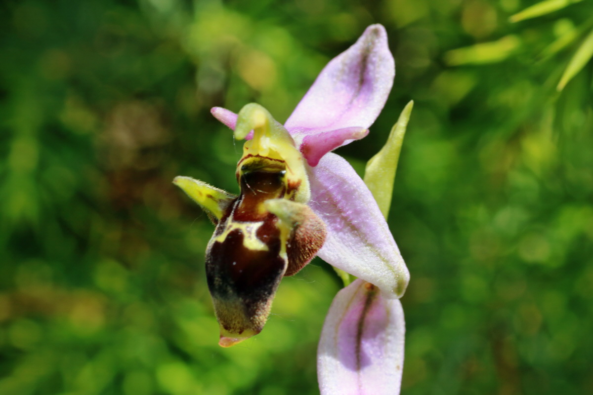 IMG-2015-06-29-00006203p_Bildgr��e �ndern