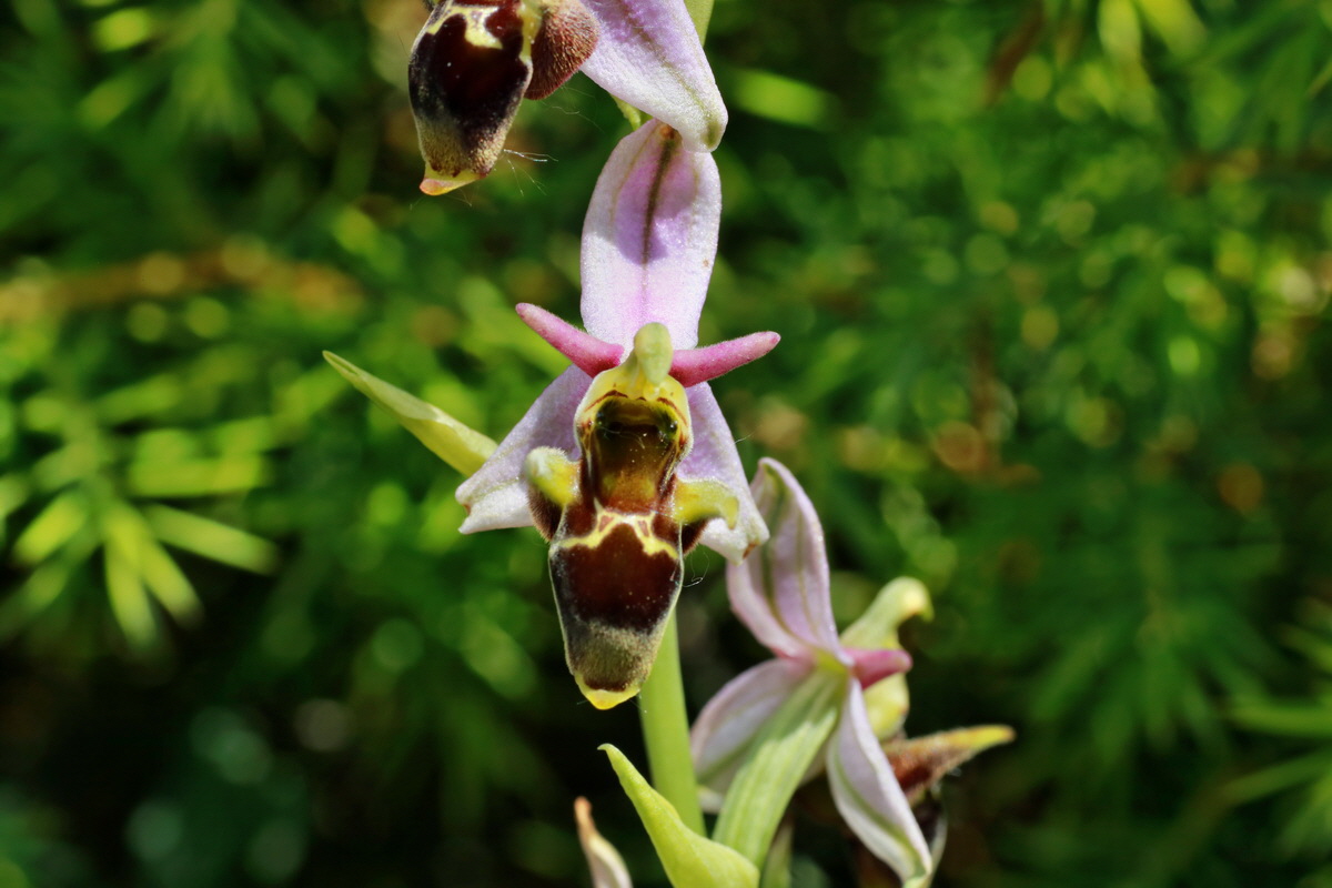 IMG-2015-06-29-00006205p_Bildgr��e �ndern