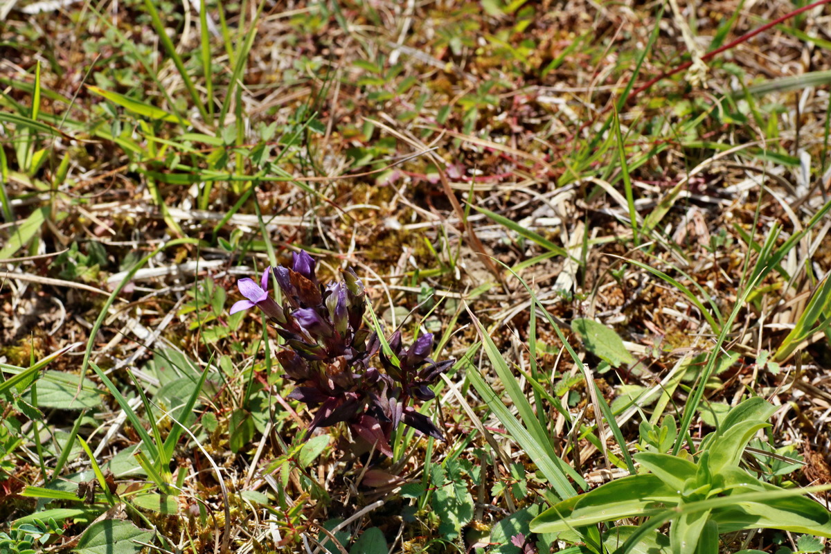 IMG-2015-06-29-00006214p_Bildgr��e �ndern