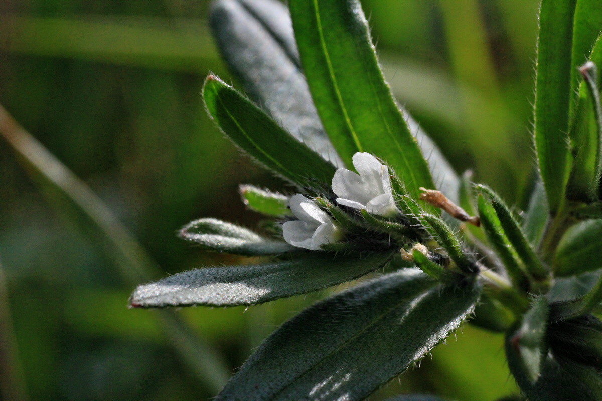 2015_05_01_00018063p_Bildgr��e �ndern