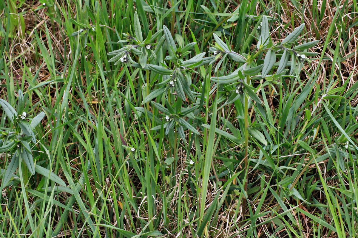 2015_05_01_00018069p_Bildgr��e �ndern