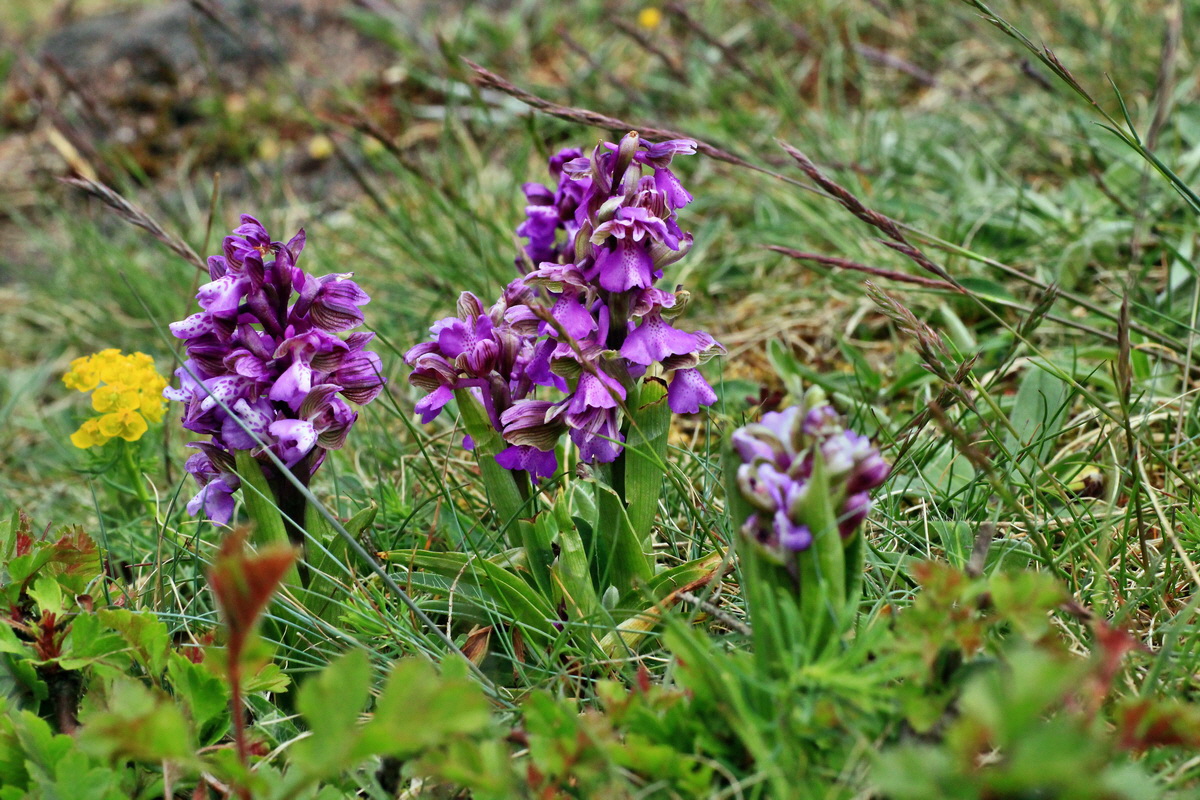 2015_05_01_00018085p_Bildgr��e �ndern