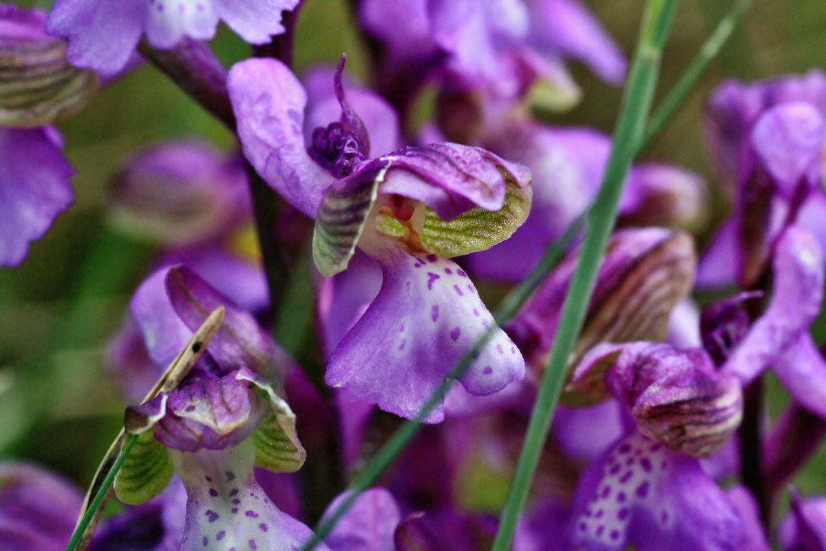 2015_05_01_00018093p_Bildgr��e �ndern