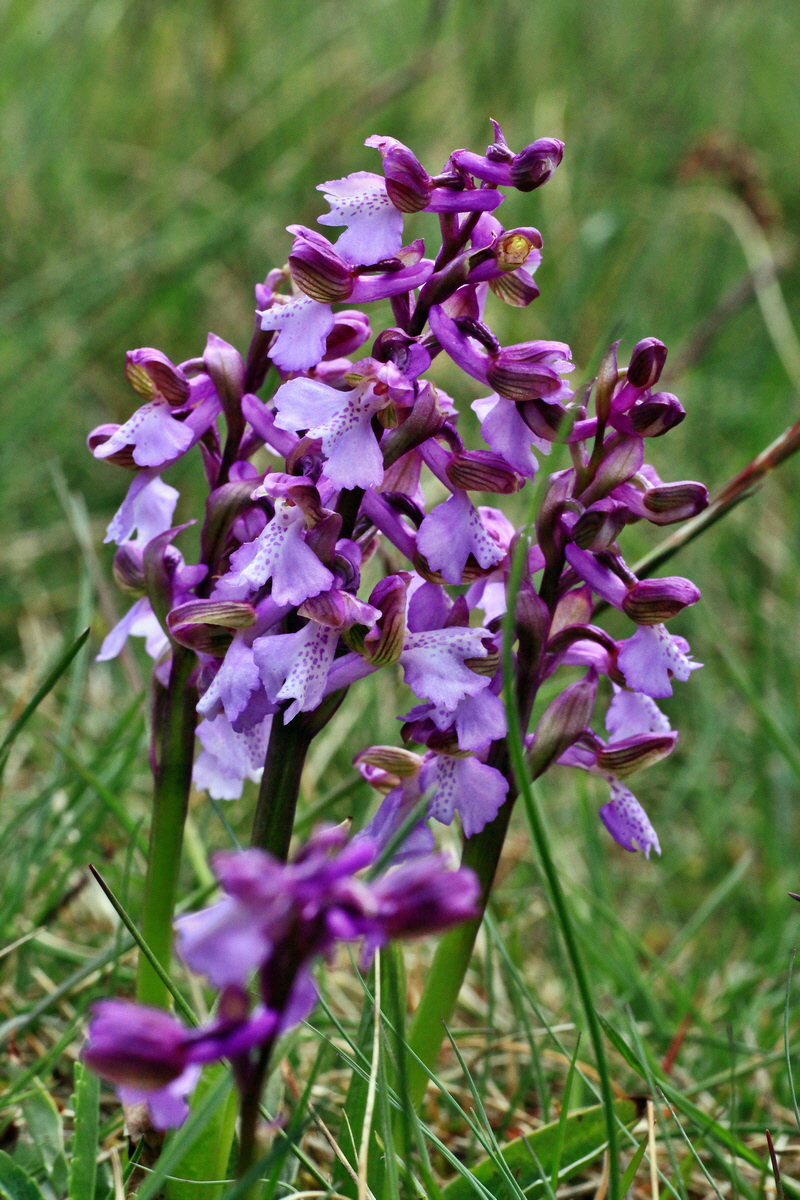 2015_05_01_00018095p_Bildgr��e �ndern