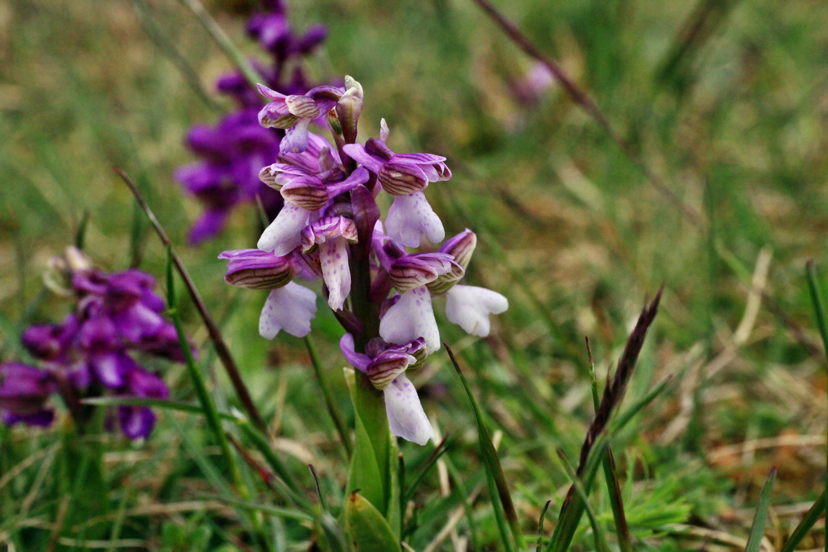 2015_05_01_00018099p_Bildgr��e �ndern