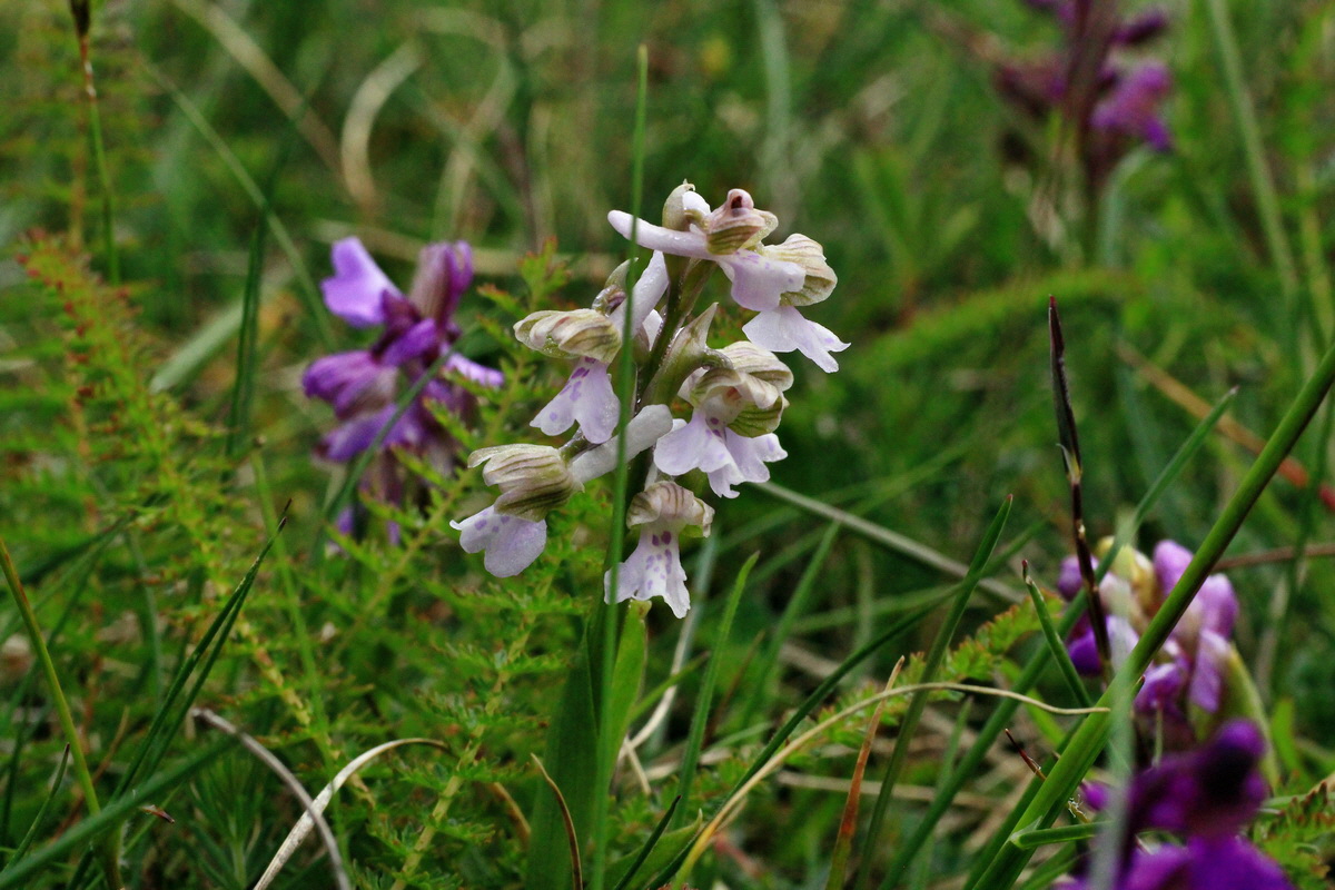 2015_05_01_00018101p_Bildgr��e �ndern