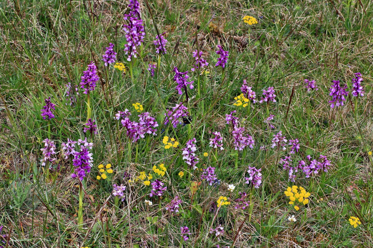 2015_05_01_00018105p_Bildgr��e �ndern