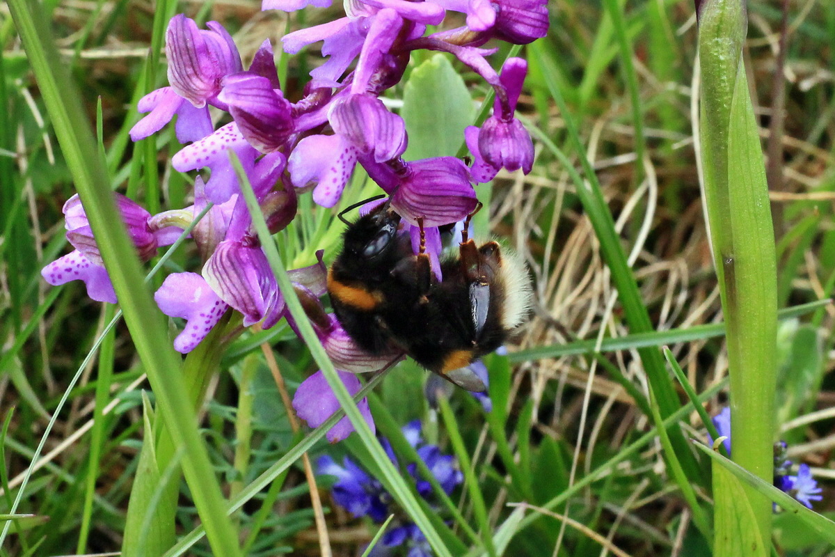 2015_05_01_00018109ap_Bildgr��e �ndern