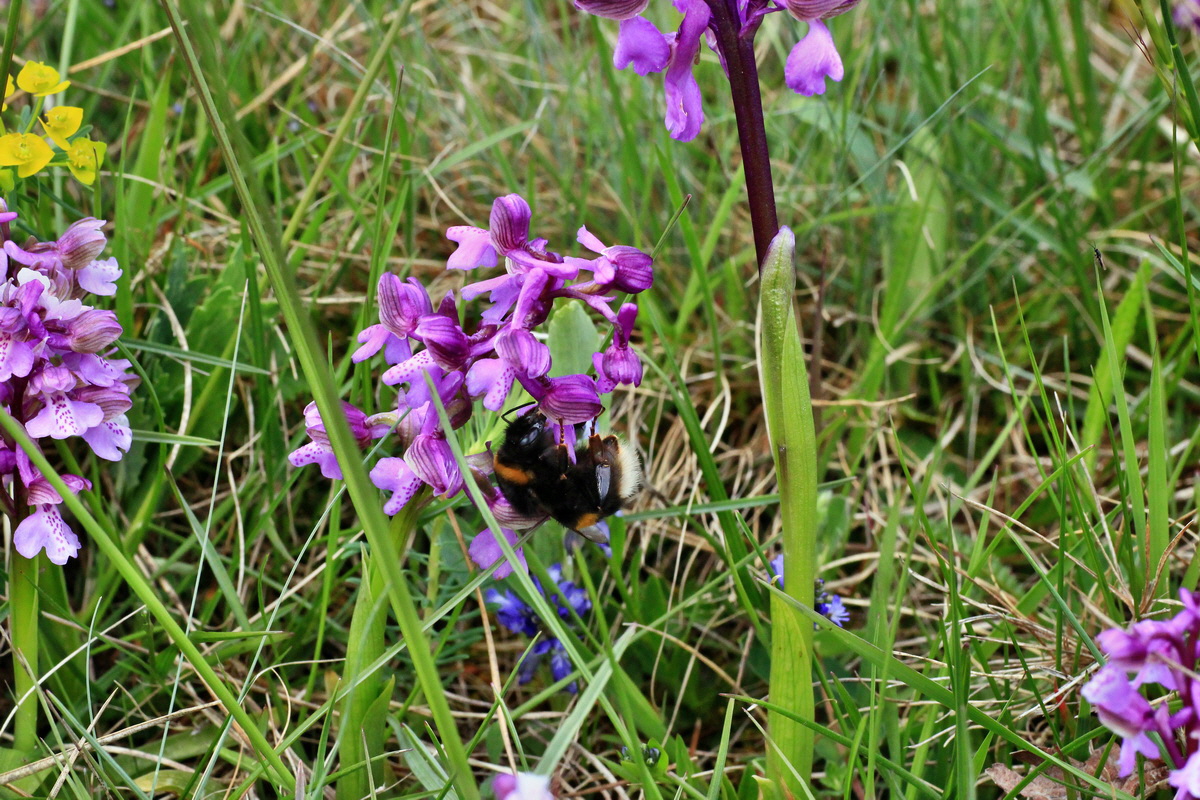 2015_05_01_00018109p_Bildgr��e �ndern