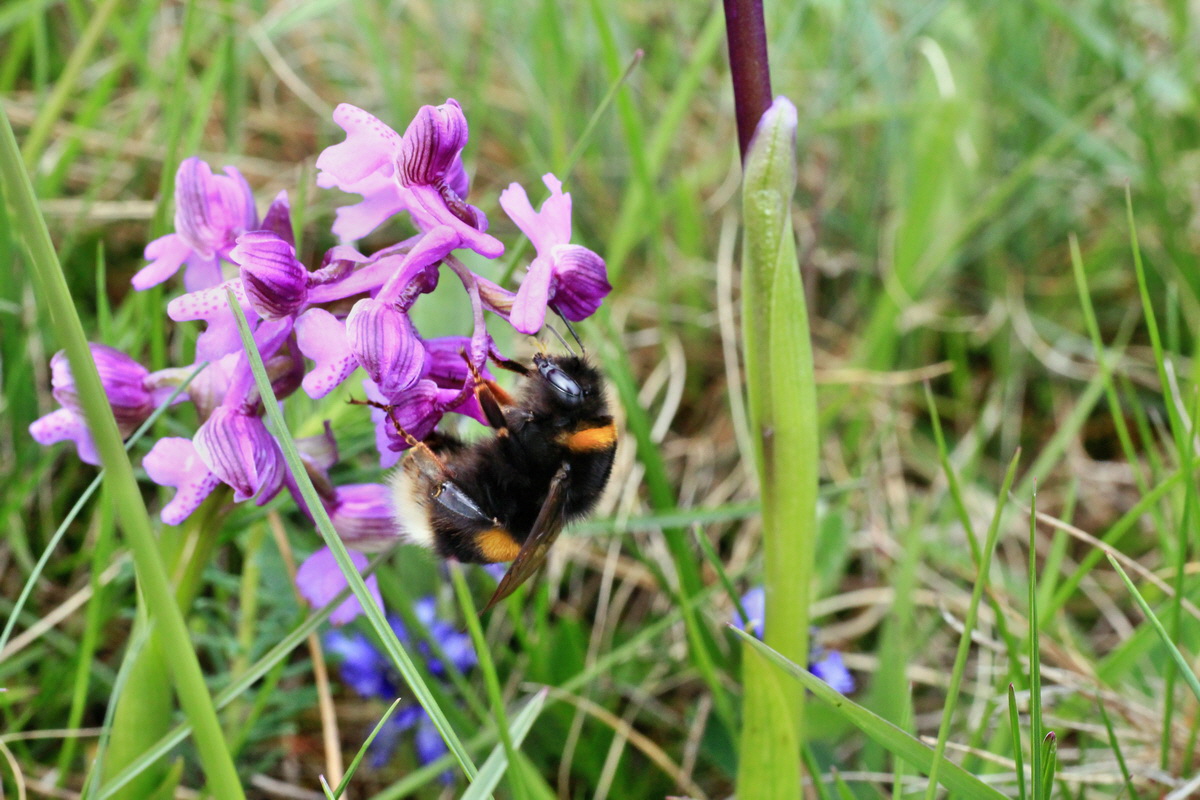 2015_05_01_00018139p_Bildgr��e �ndern