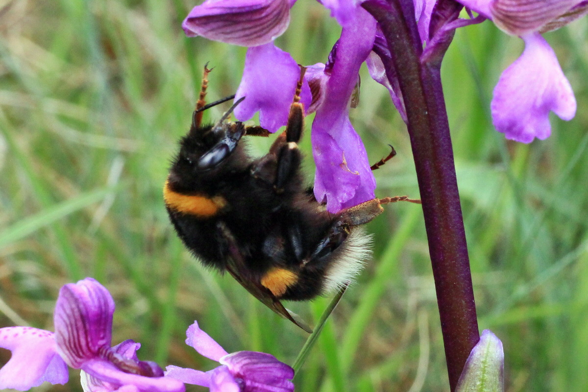 2015_05_01_00018144ap_Bildgr��e �ndern