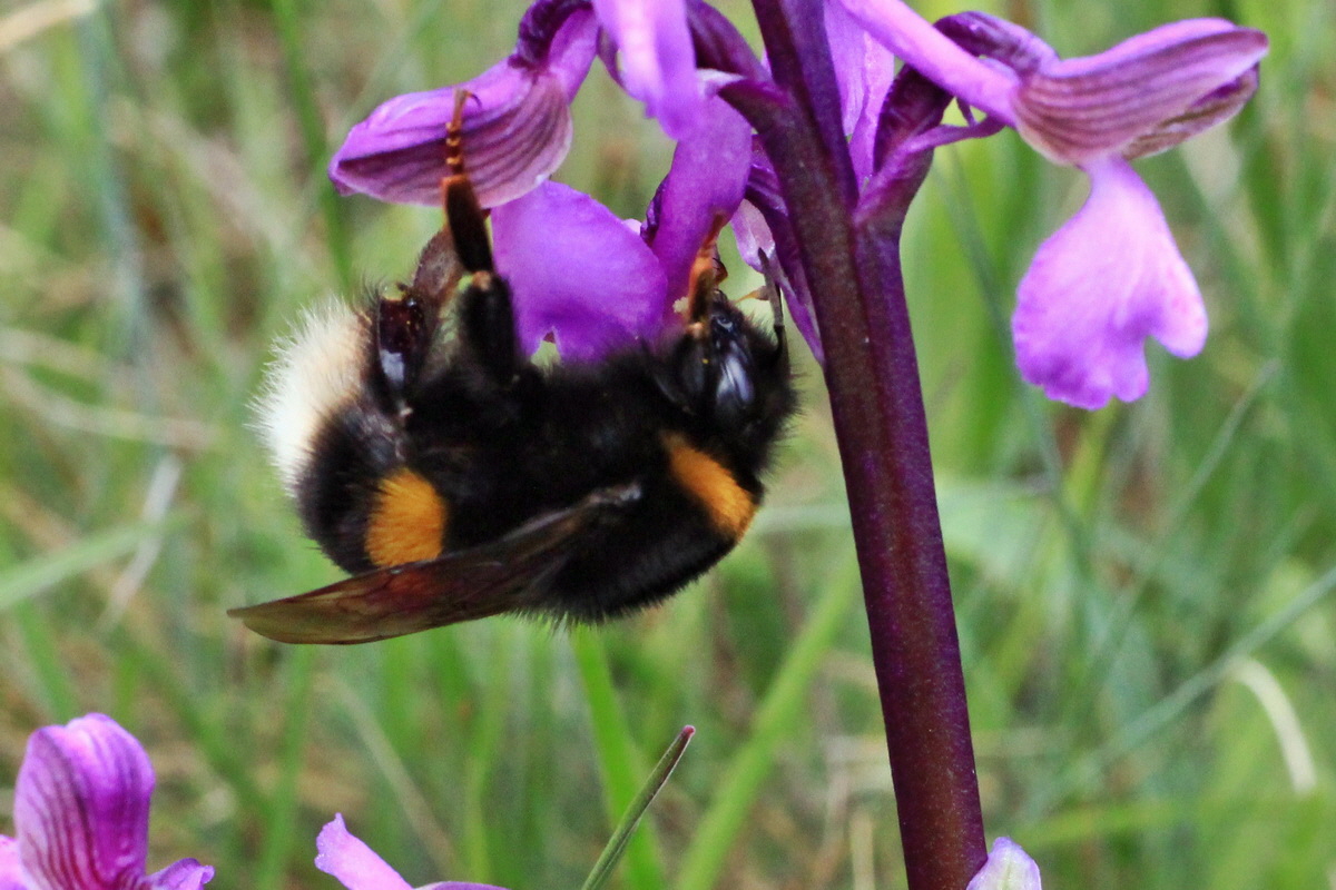 2015_05_01_00018150ap_Bildgr��e �ndern