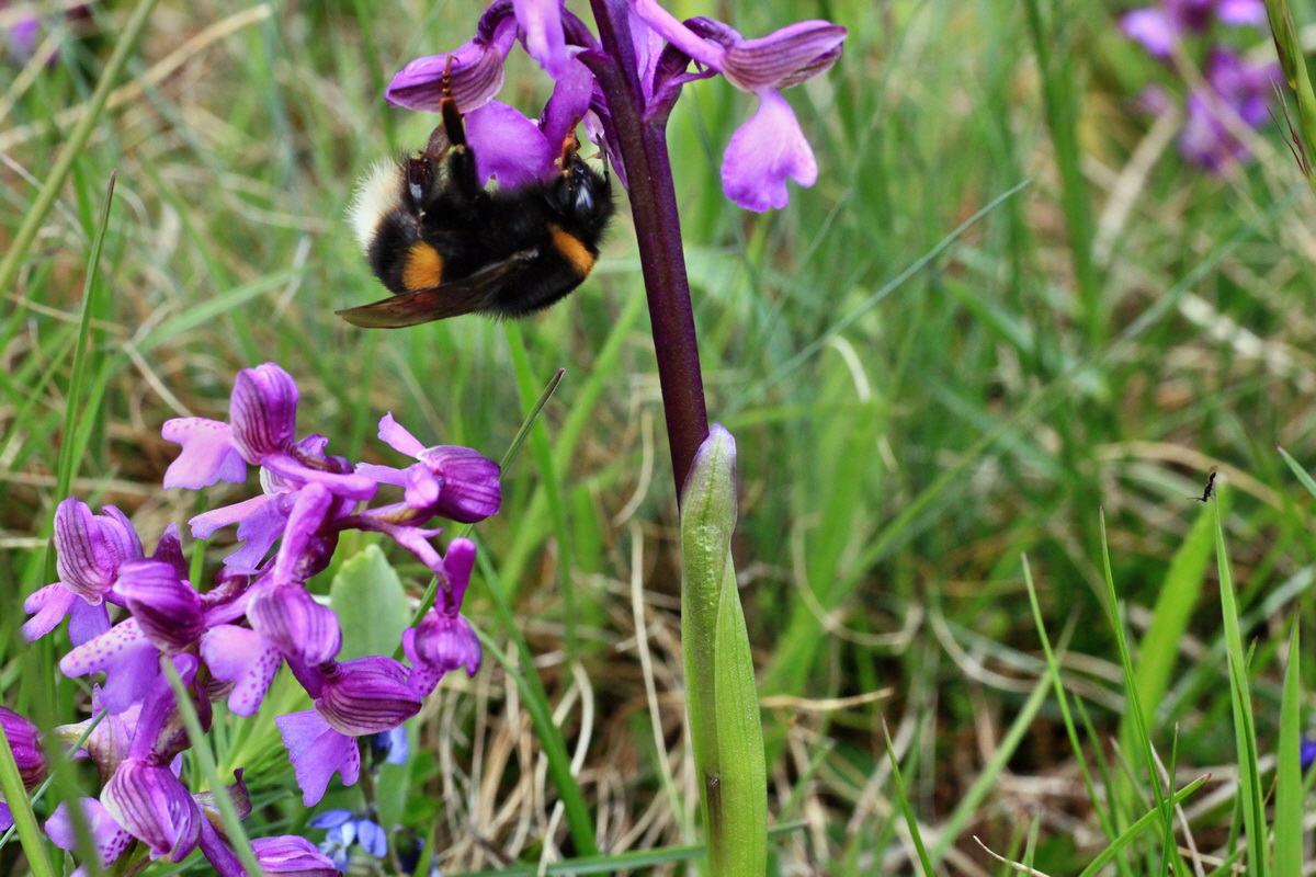 2015_05_01_00018150p_Bildgr��e �ndern