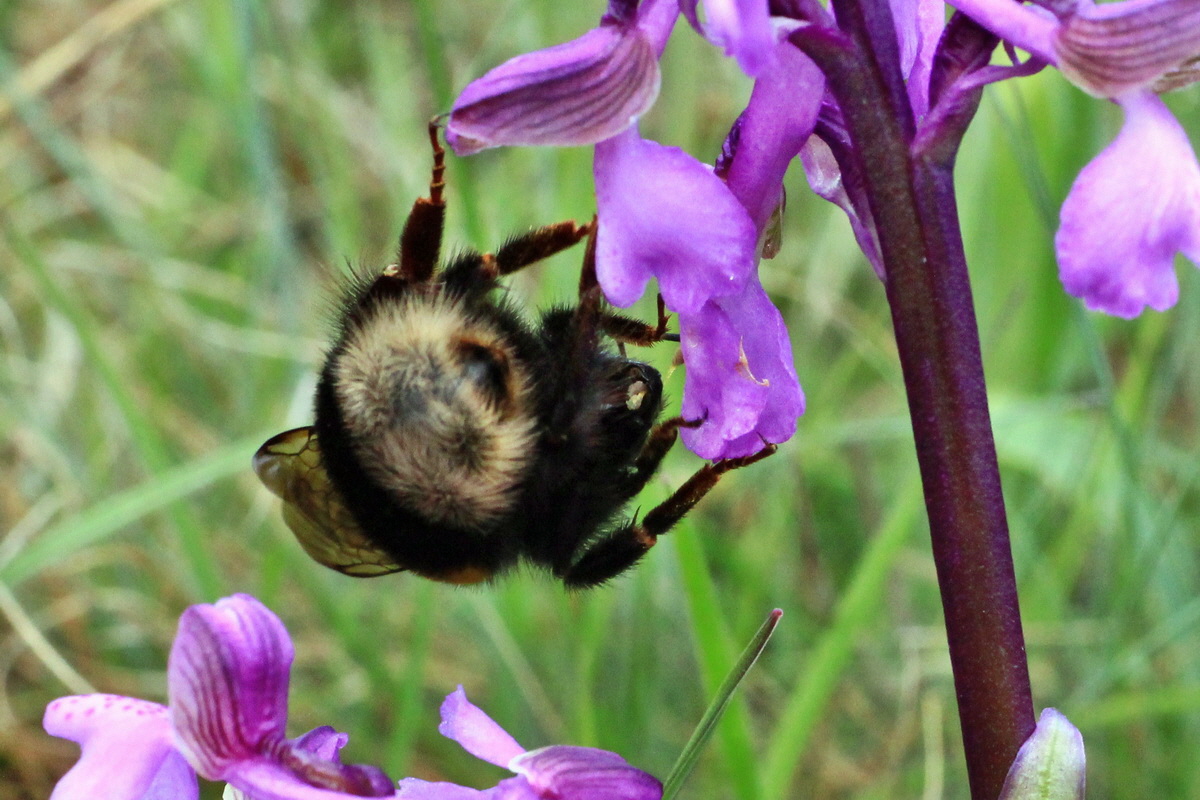 2015_05_01_00018154ap_Bildgr��e �ndern