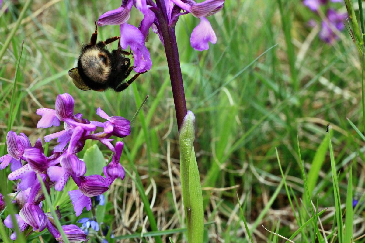 2015_05_01_00018154p_Bildgr��e �ndern