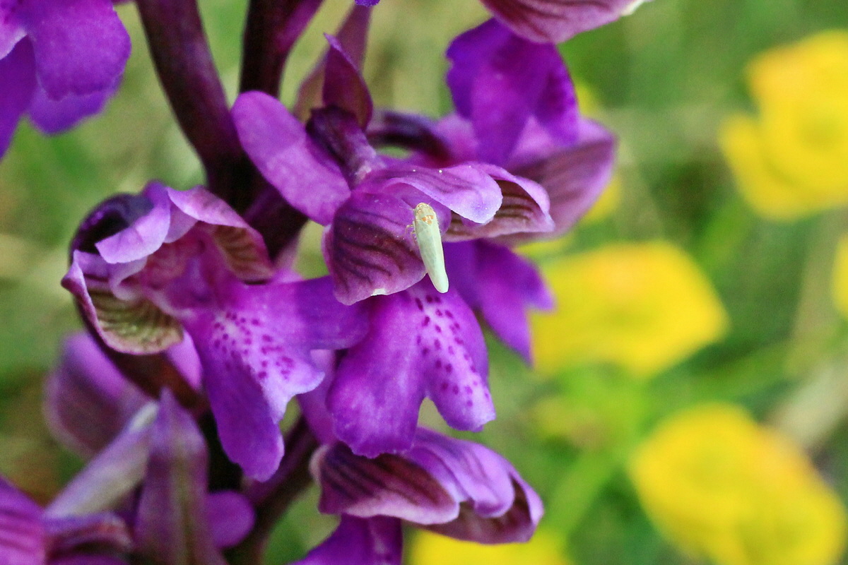 2015_05_01_00018157ap_Bildgr��e �ndern