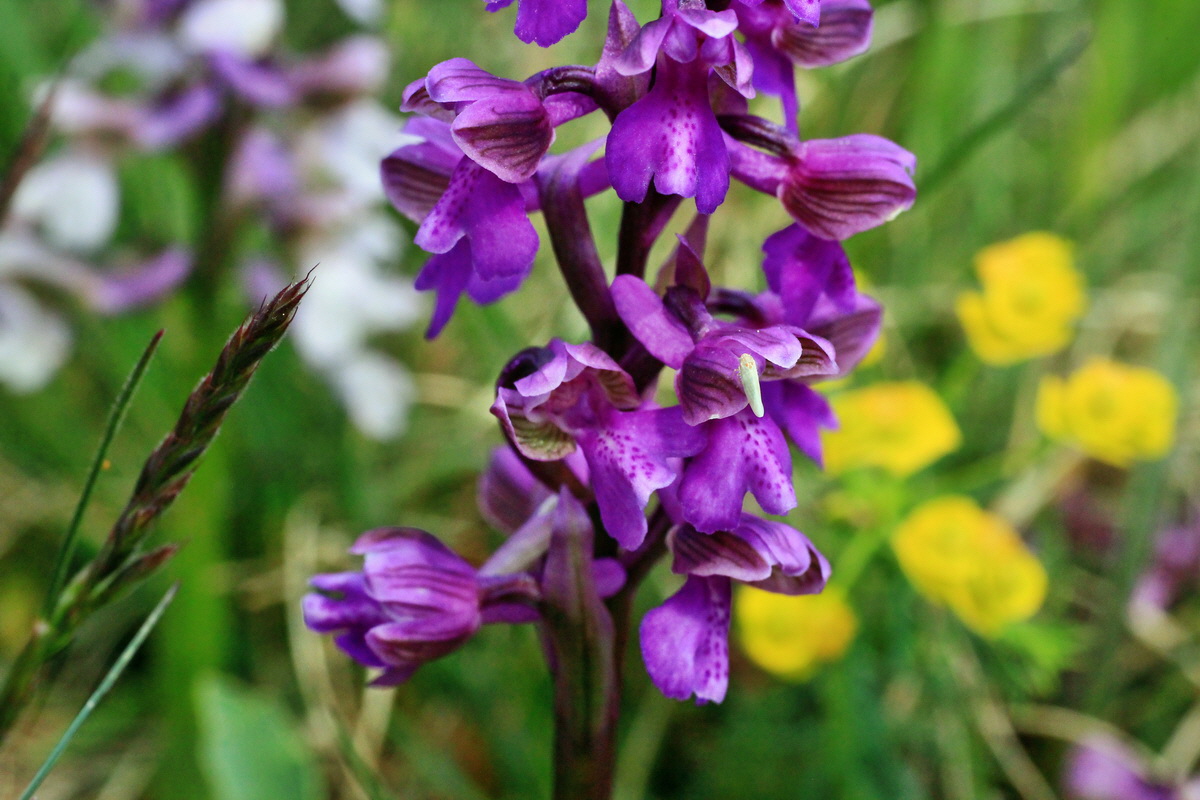 2015_05_01_00018157p_Bildgr��e �ndern