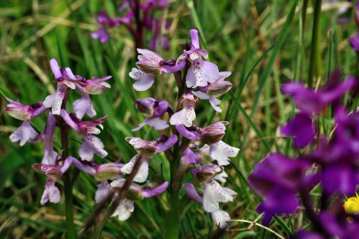 2015_05_01_00018158p_Bildgr��e �ndern