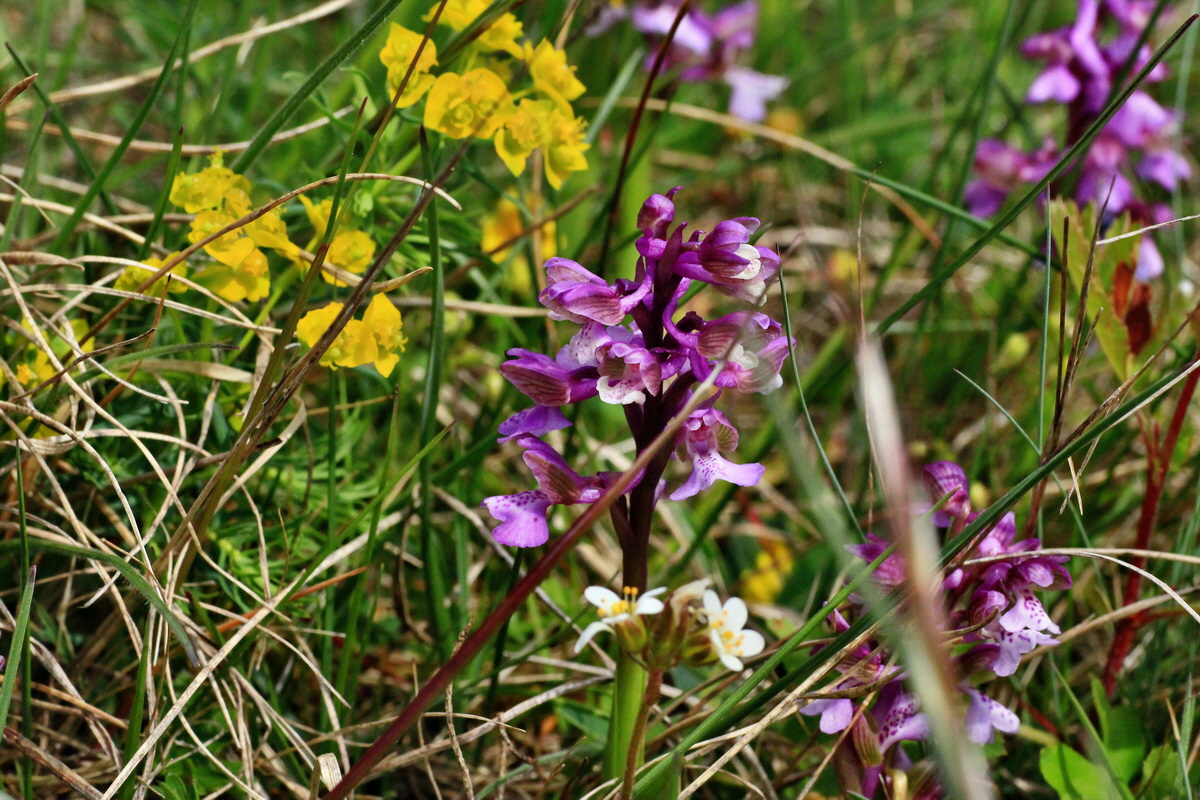 2015_05_01_00018161p_Bildgr��e �ndern