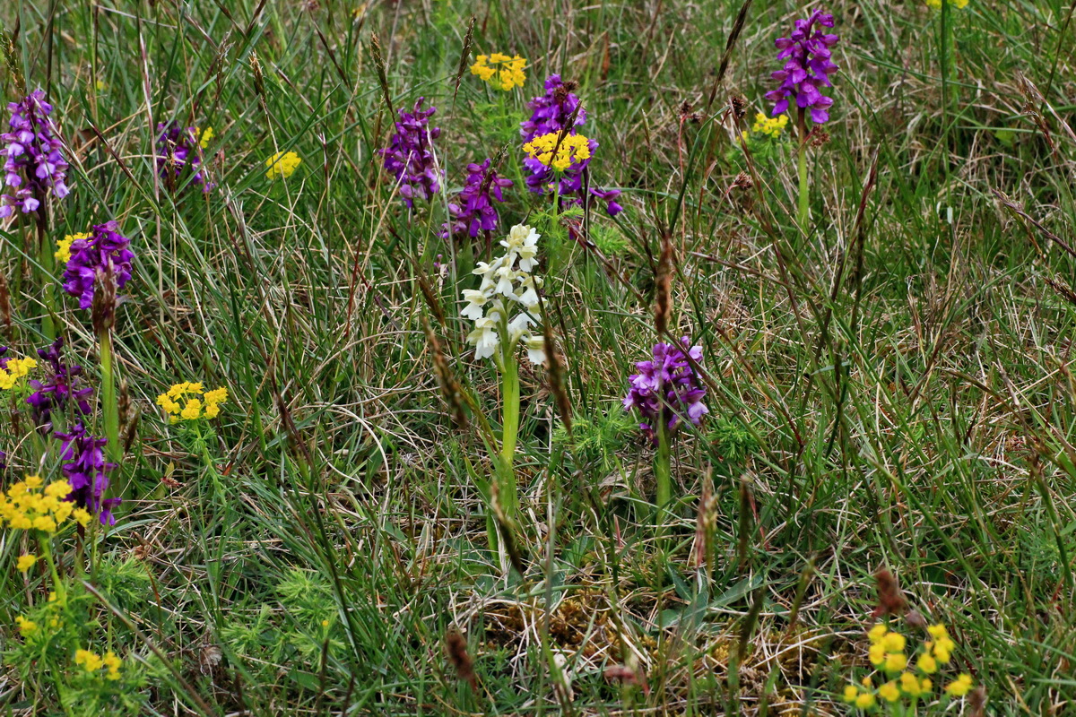 2015_05_01_00018163p_Bildgr��e �ndern