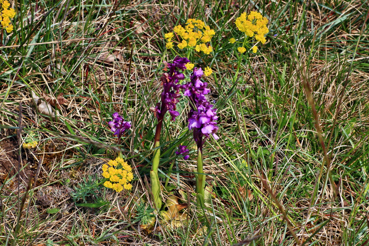 2015_05_01_00018176p_Bildgr��e �ndern