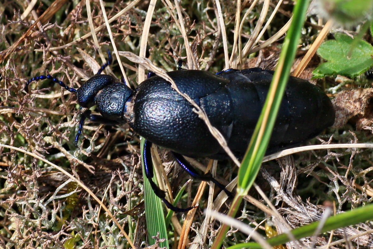 2015_05_01_00018178ap_Bildgr��e �ndern