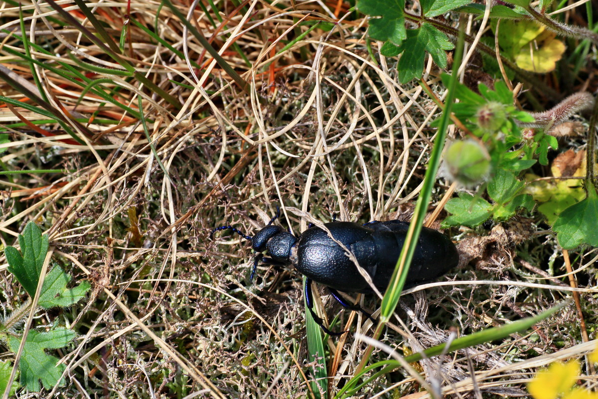 2015_05_01_00018178p_Bildgr��e �ndern