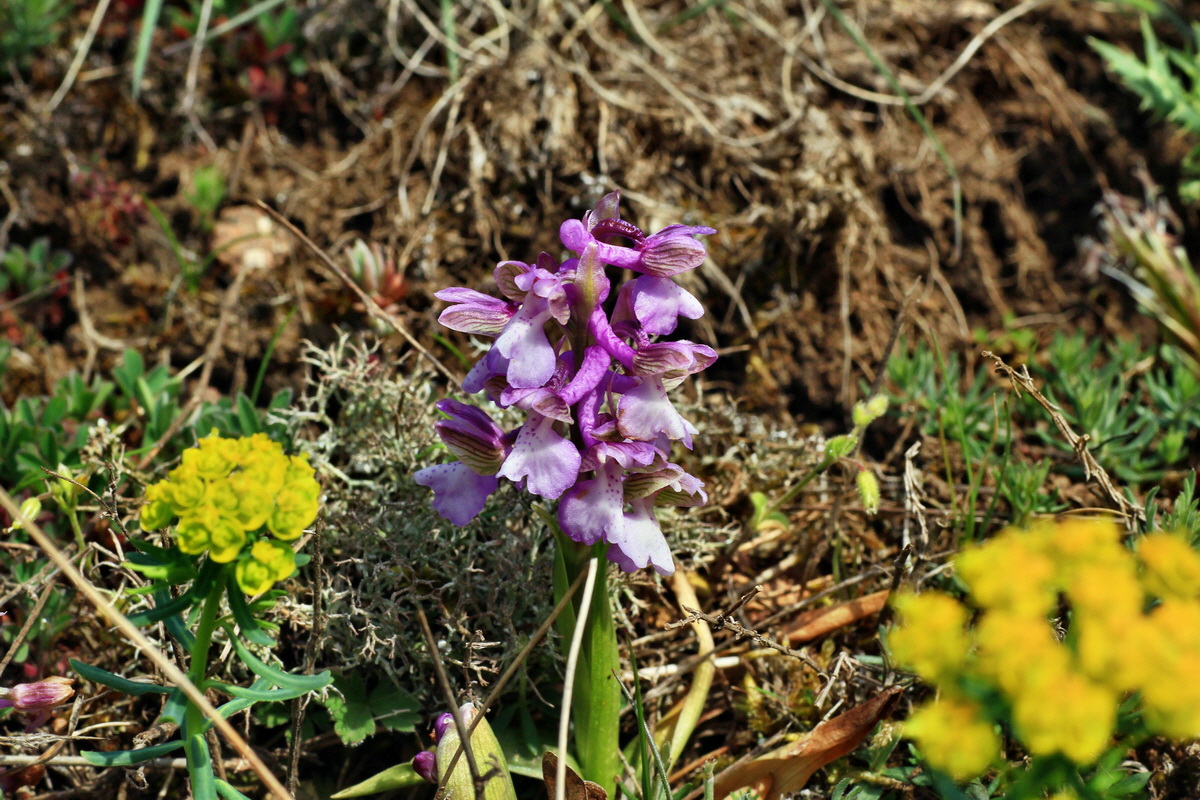 2015_05_01_00018182p_Bildgr��e �ndern