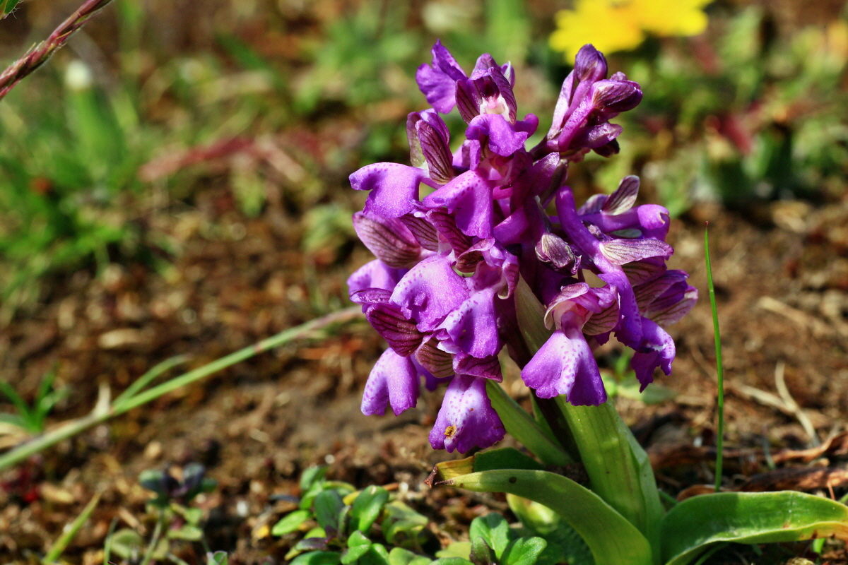 2015_05_01_00018185p_Bildgr��e �ndern