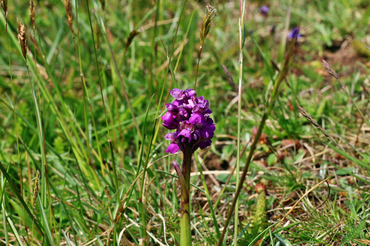 2015_05_01_00018189p_Bildgr��e �ndern