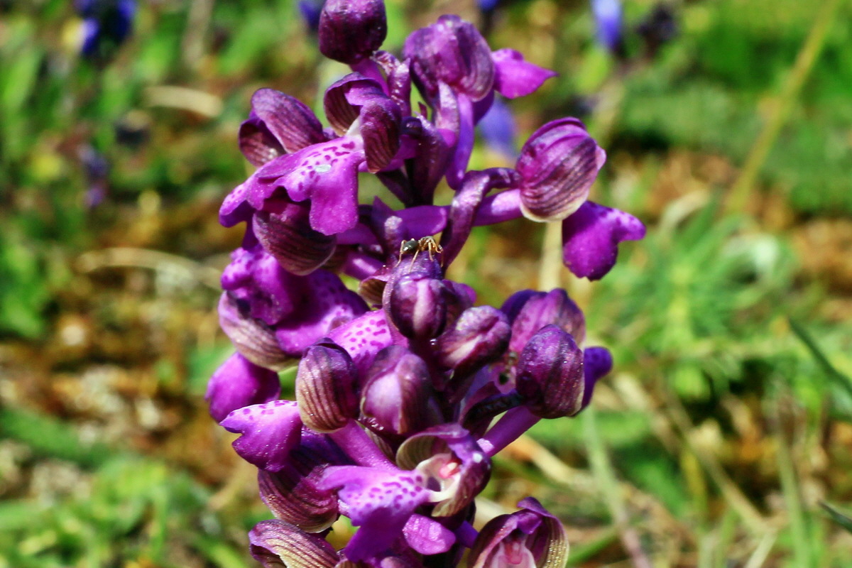 2015_05_01_00018191ap_Bildgr��e �ndern