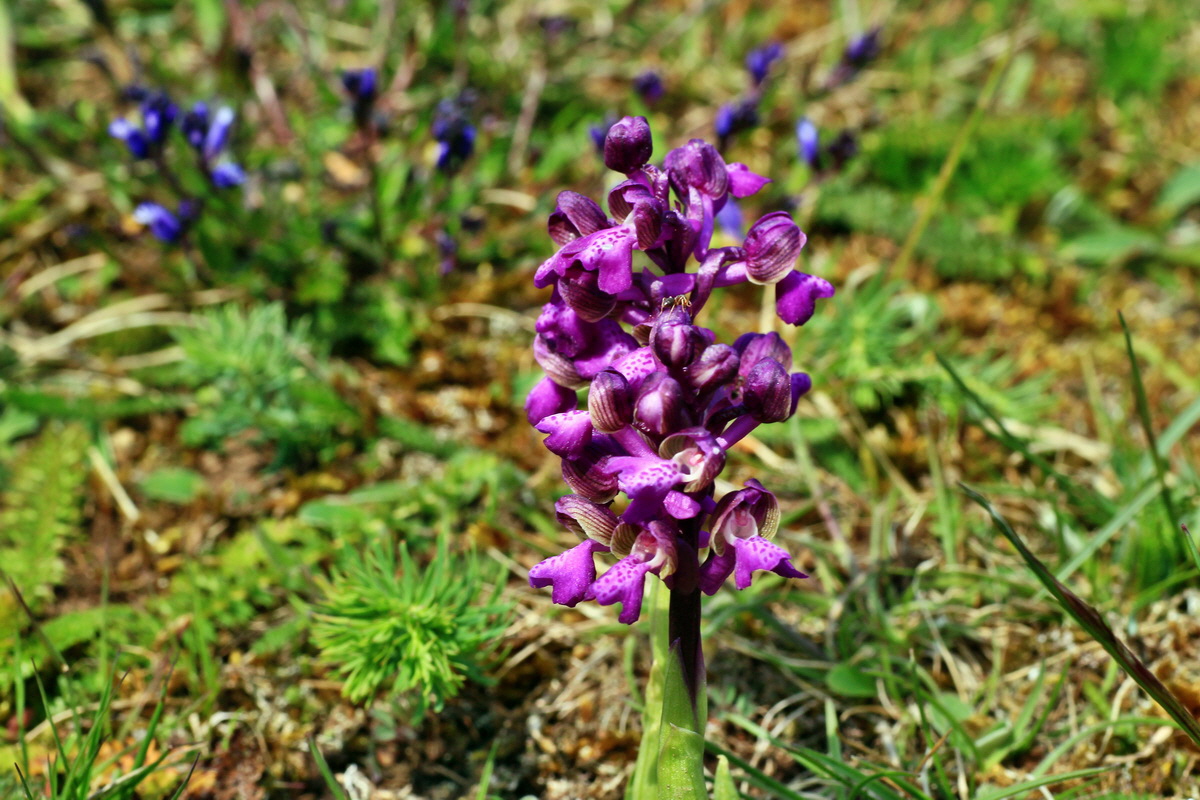 2015_05_01_00018191p_Bildgr��e �ndern