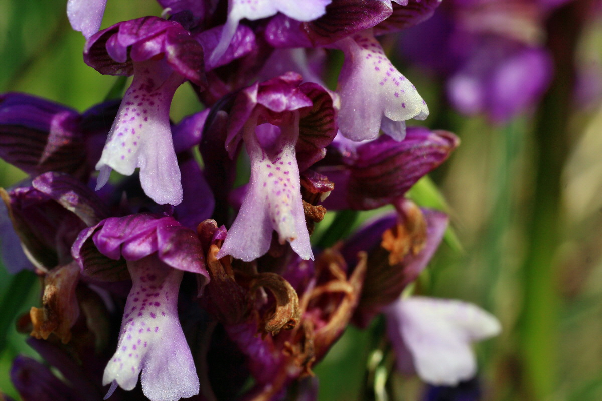 2015_05_01_00018193p_Bildgr��e �ndern