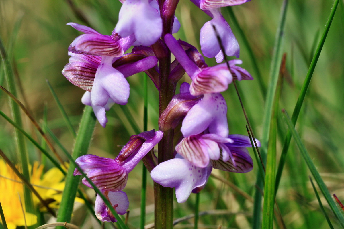 2015_05_01_00018201p_Bildgr��e �ndern