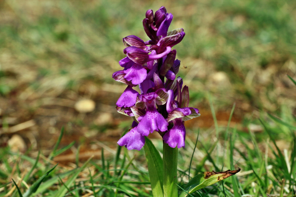 2015_05_01_00018203p_Bildgr��e �ndern