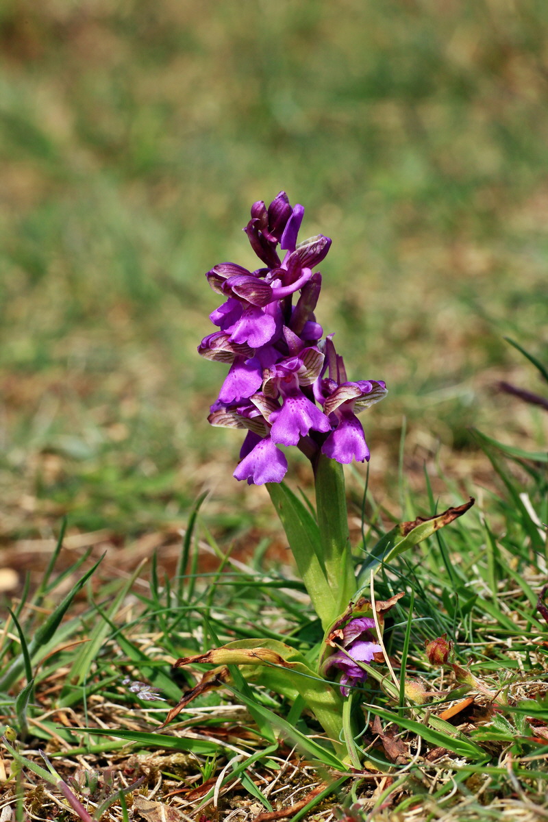 2015_05_01_00018205p_Bildgr��e �ndern