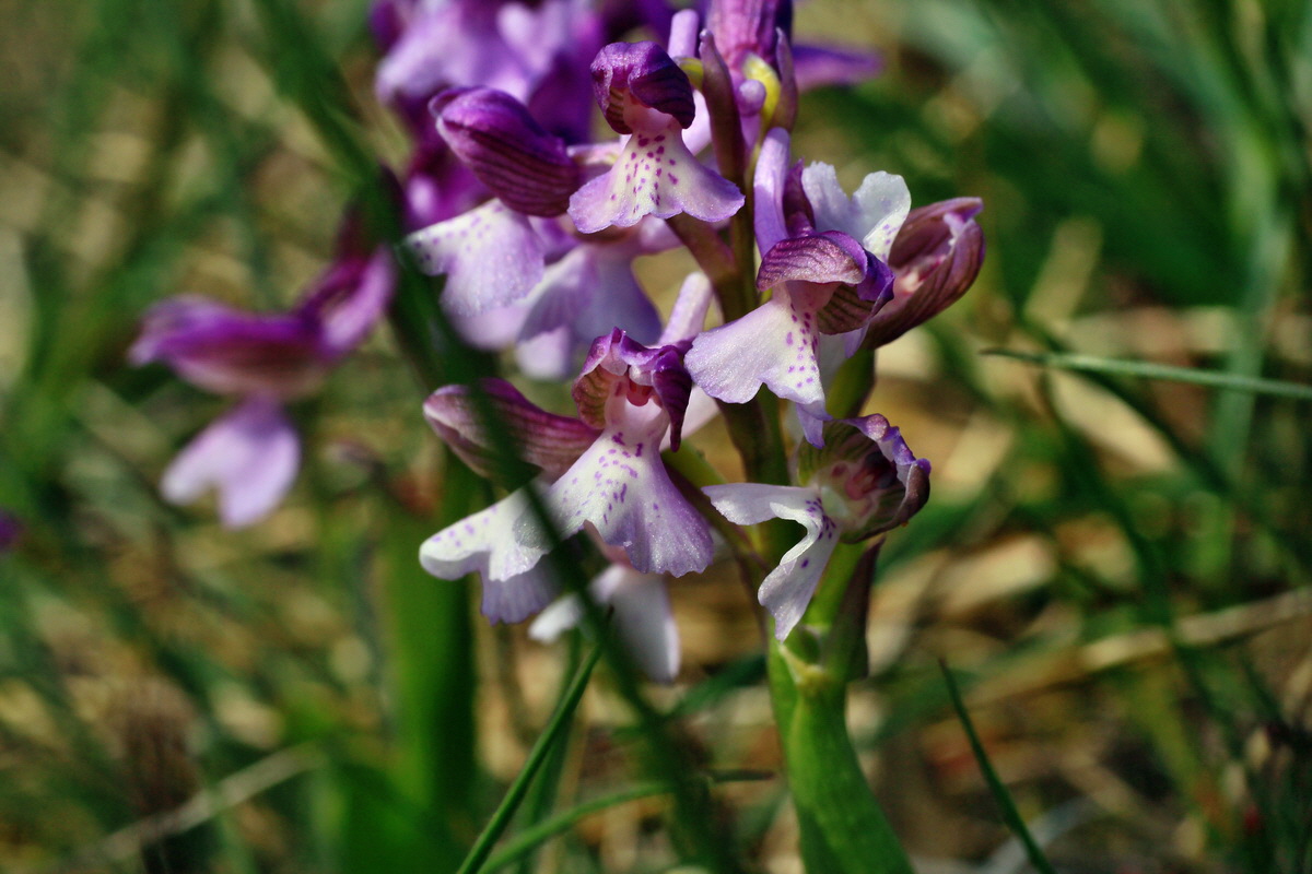 2015_05_01_00018214p_Bildgr��e �ndern