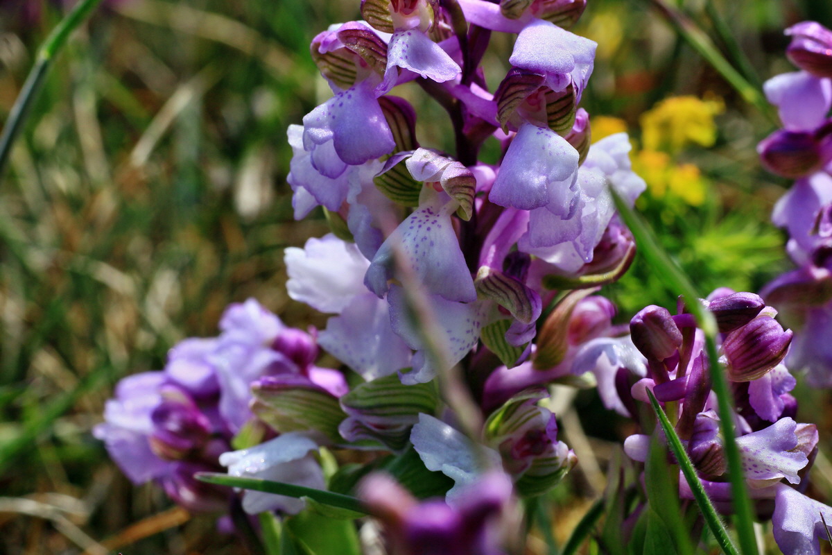 2015_05_01_00018216p_Bildgr��e �ndern