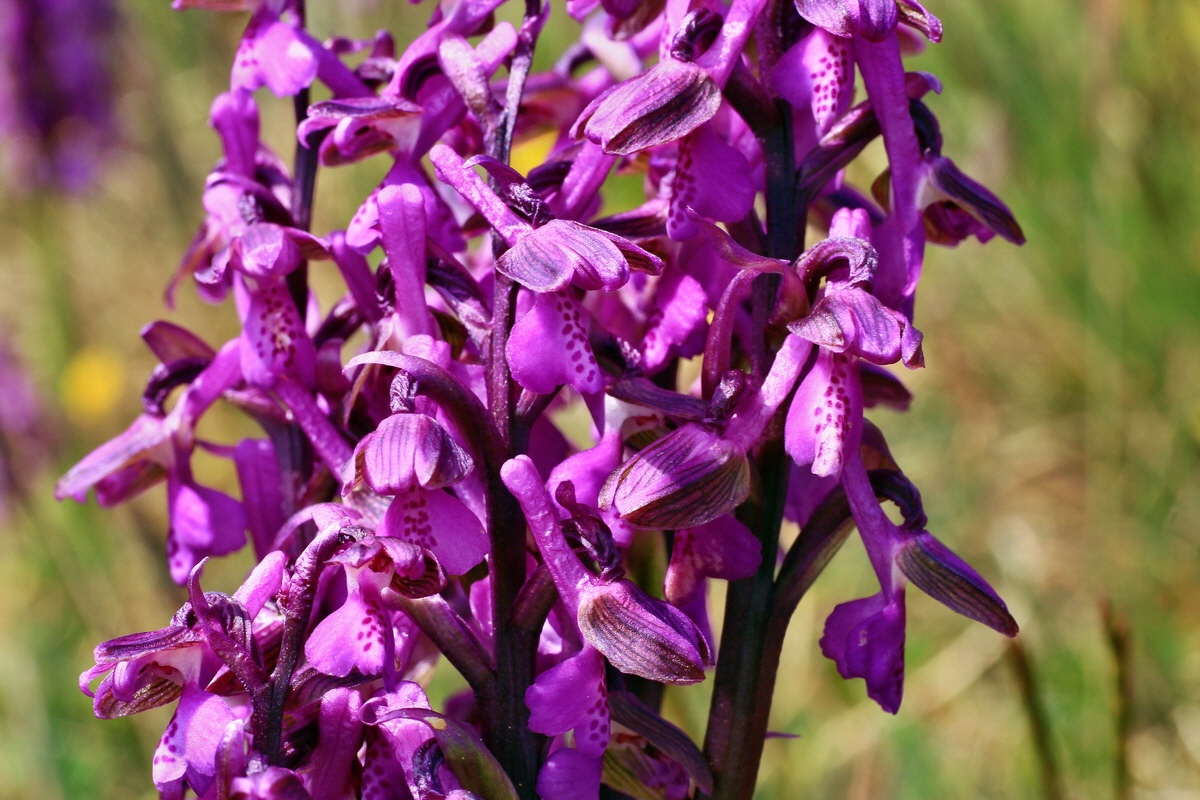 2015_05_01_00018217p_Bildgr��e �ndern