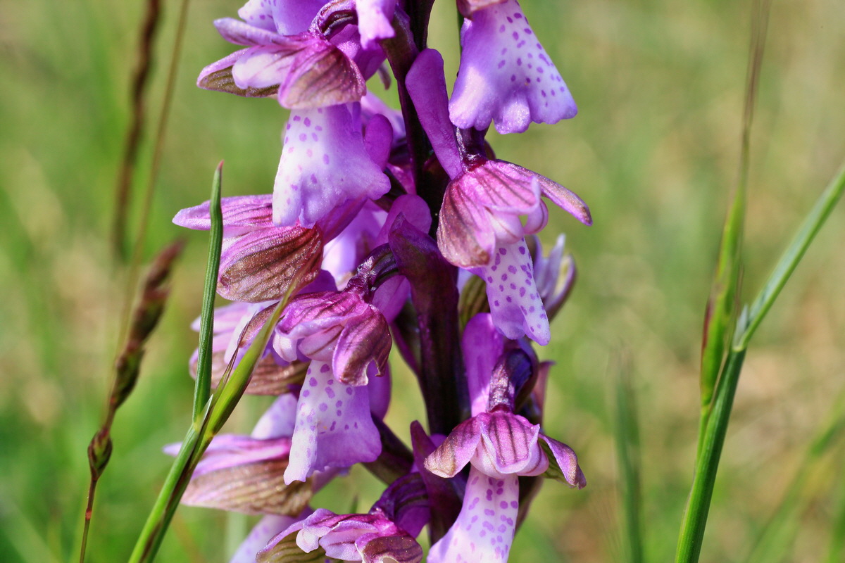 2015_05_01_00018223p_Bildgr��e �ndern