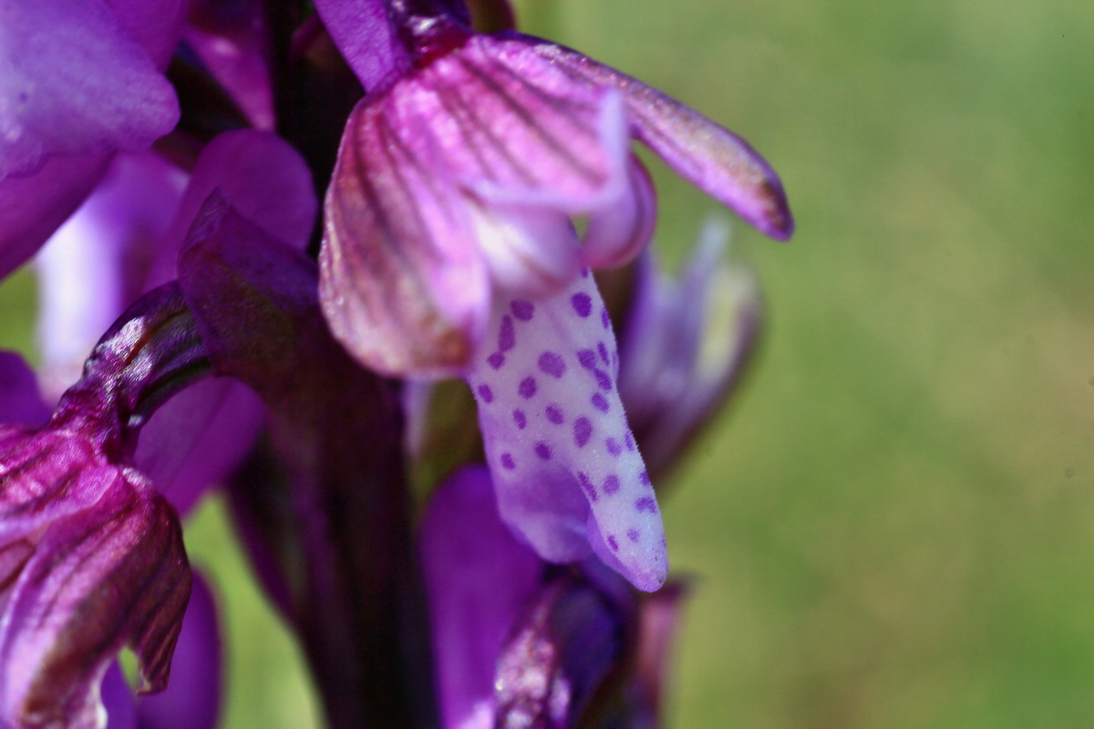 2015_05_01_00018226p_Bildgr��e �ndern