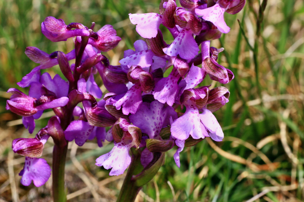 2015_05_01_00018233p_Bildgr��e �ndern