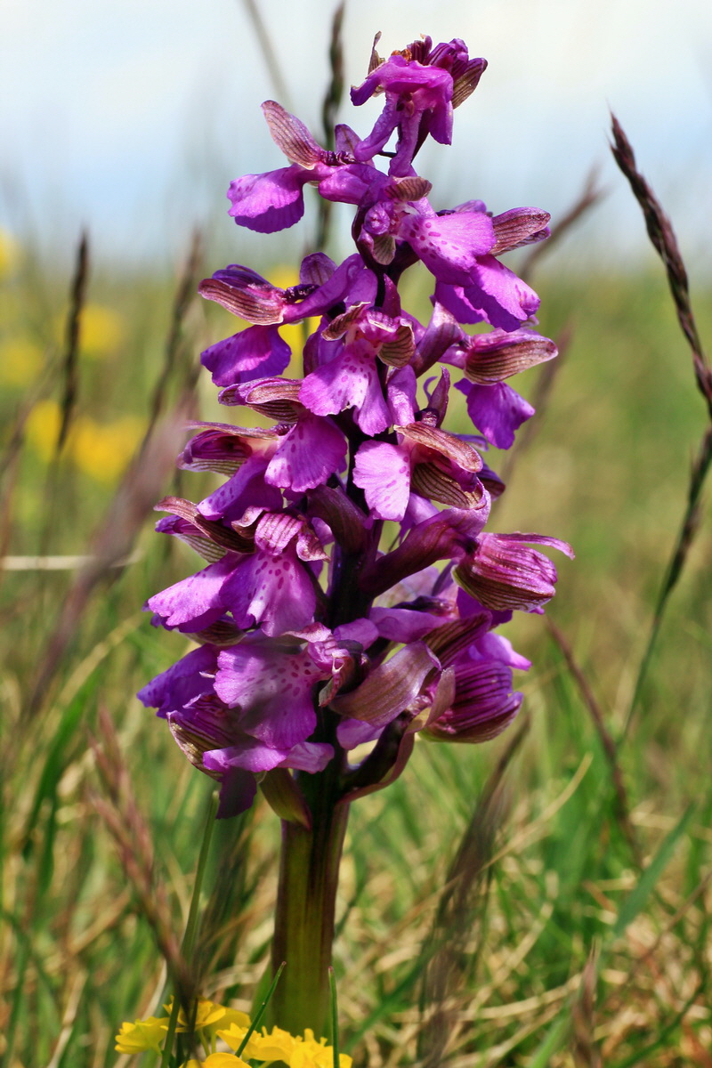 2015_05_01_00018237p_Bildgr��e �ndern