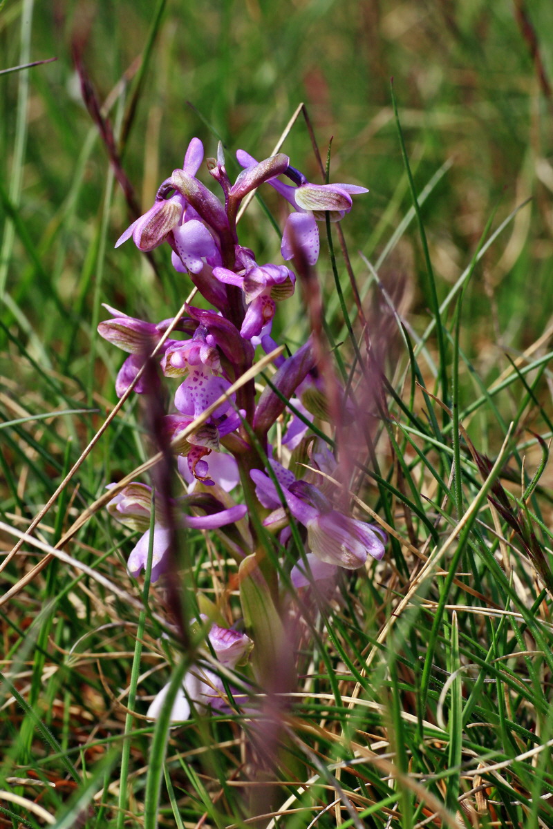 2015_05_01_00018243p_Bildgr��e �ndern